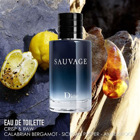 recharge eau de parfum sauvage dior|how expensive is Dior Sauvage.